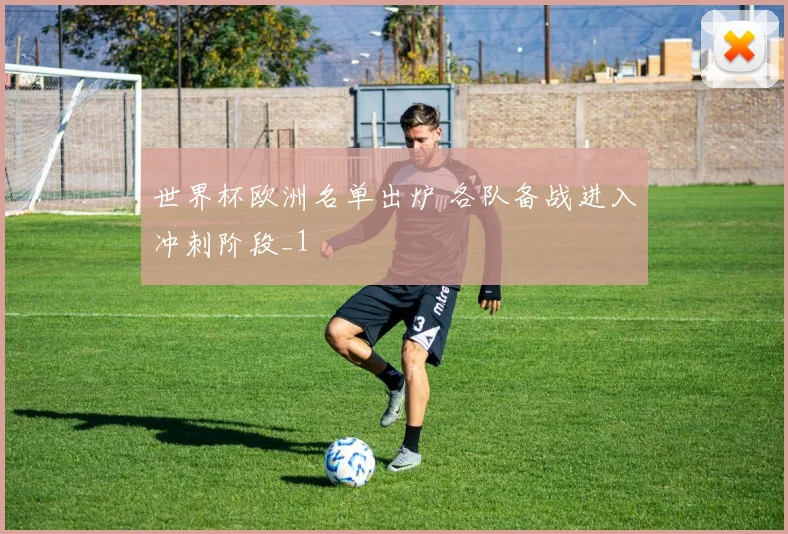 世界杯欧洲名单出炉 各队备战进入冲刺阶段_1